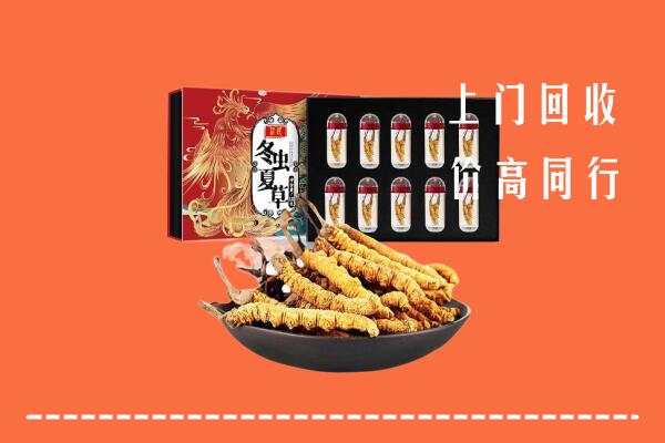 收购行情：玉林回收虫草